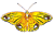 fly